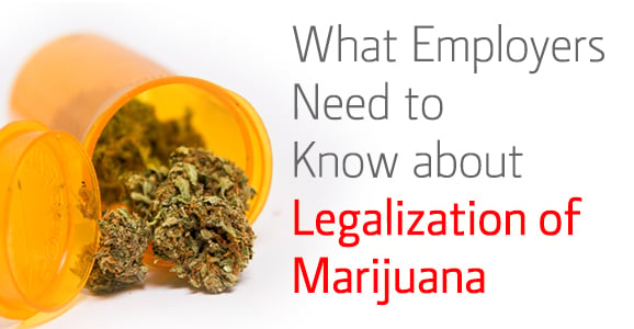 3-13-14_verifirst_what-employers-need-to-know-about-legalization-marijuana